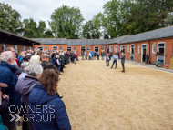 EL270923-65 - Emma Lavelle Stable Visit